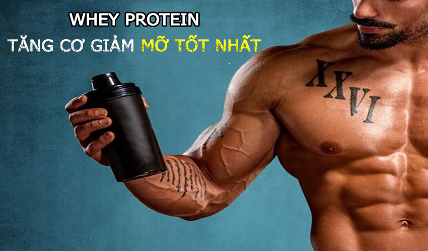 Whey protein giúp tăng cơ hiệu quả